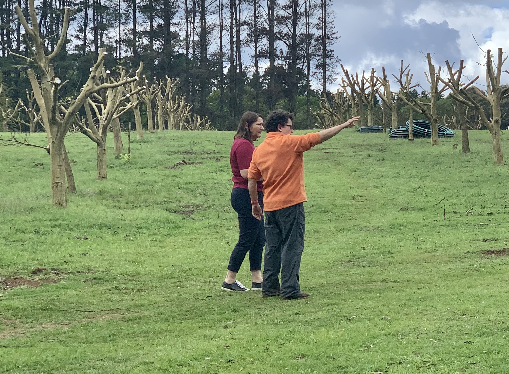 Speech: Sassafras community Main Image