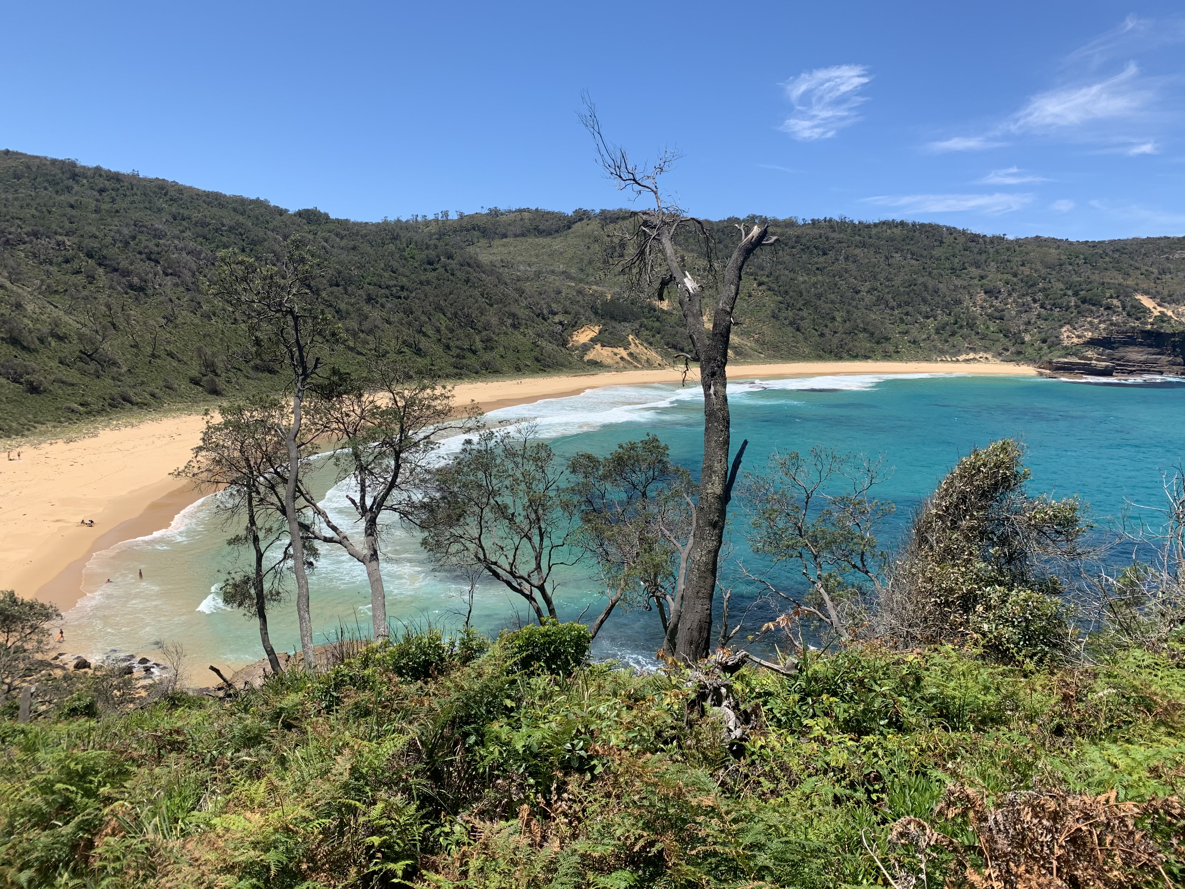 MEDIA RELEASE: Fiona Phillips says no to nuclear reactor at Jervis Bay Main Image