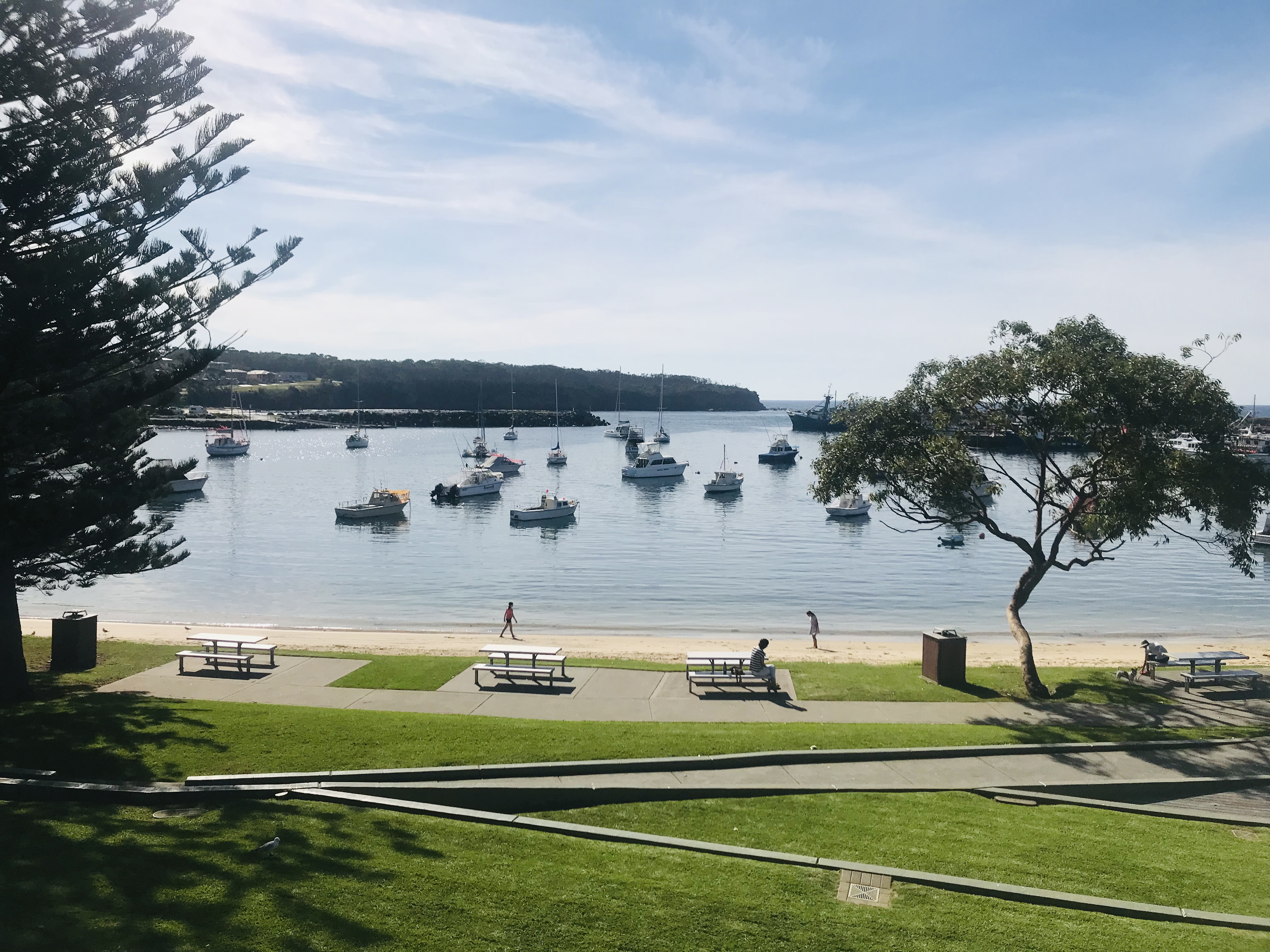 Media Release - $1.575M for Ulladulla Boardwalk and Harbourside Improvement Main Image