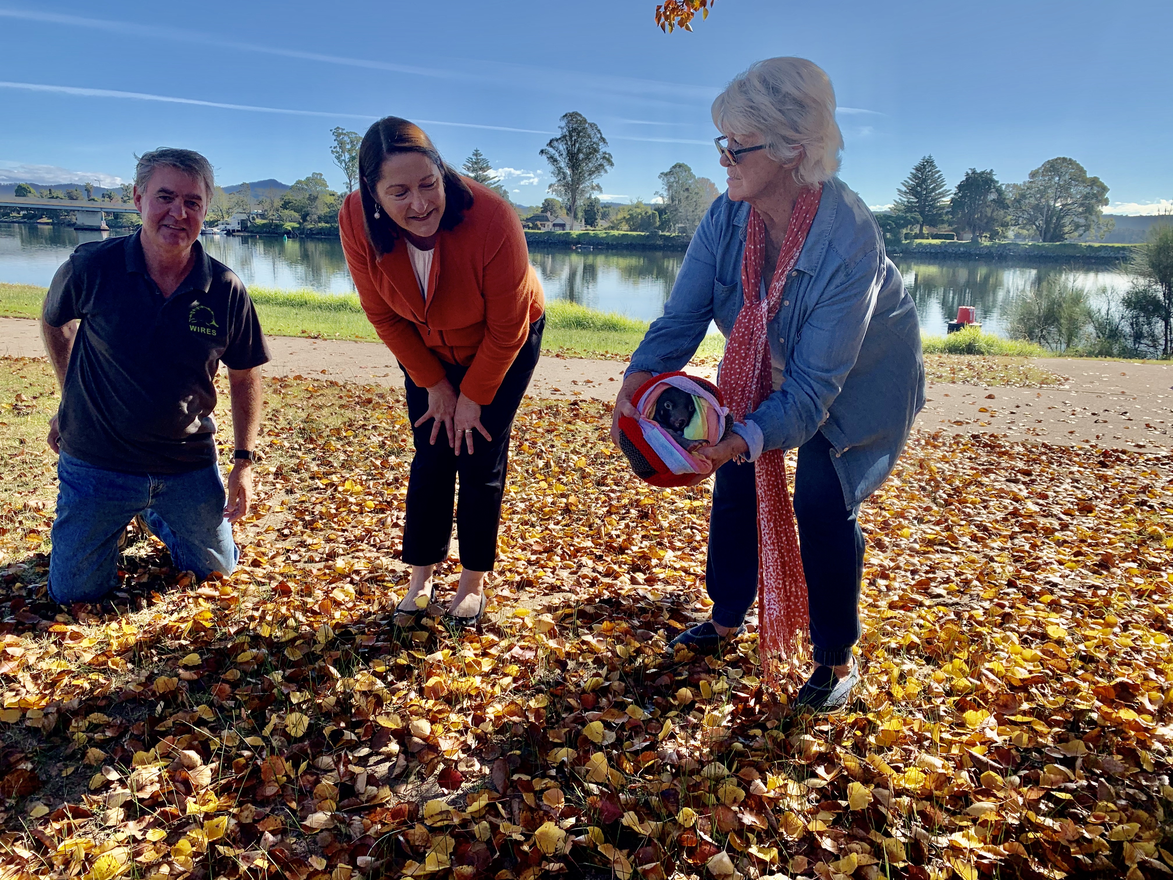 $140,000 for local environmental projects  Main Image